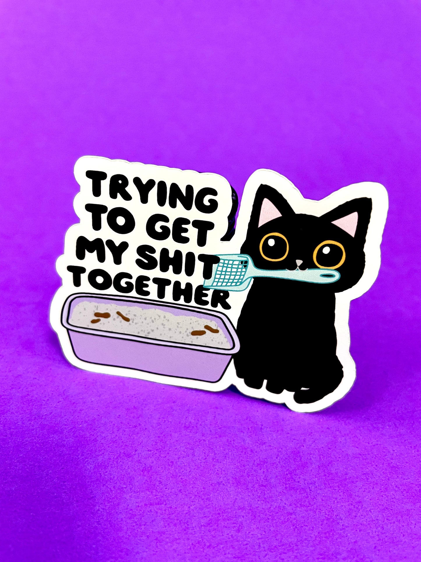 Getting my shit together